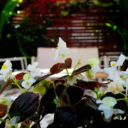 Hotel apartamentowy Kipos 3*